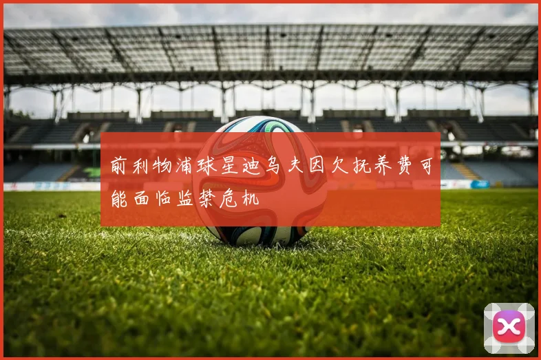 前利物浦球星迪乌夫因欠抚养费可能面临监禁危机