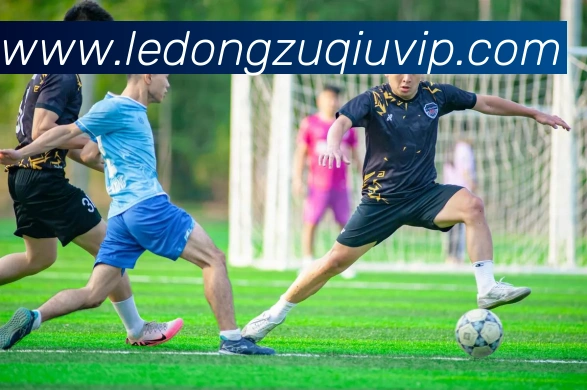 乐动体育APP 封面图